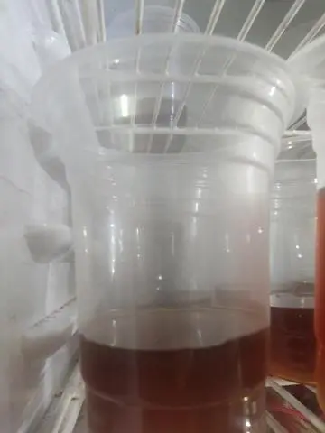 Hình ảnh Trà tắc lý khổng lồ