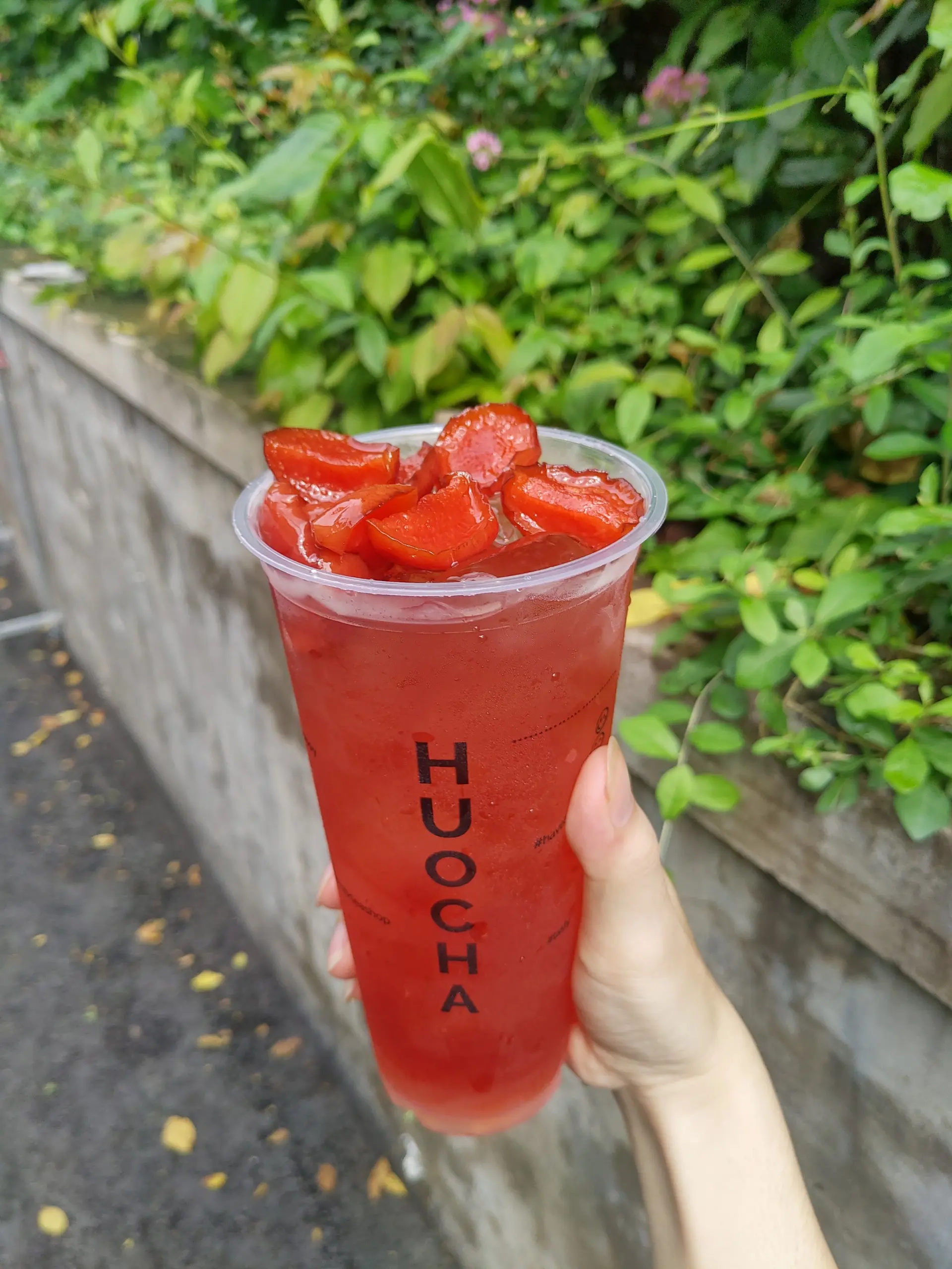 Hình ảnh Trà Mận Cherry 