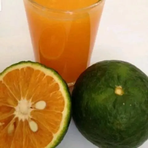 Hình ảnh Cam ép 500ml