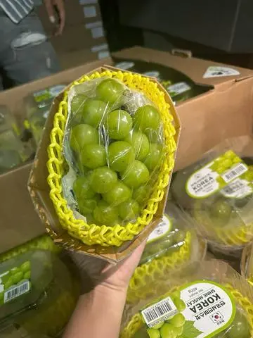 Hình ảnh Mẫu Đơn Hàn Quốc (chùm)