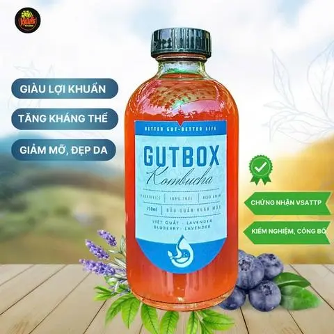 Hình ảnh Kombucha Tươi - Vị Việt Quất