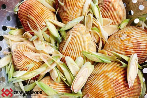 Hình ảnh Combo 2 Sò Dương Vàng Cồ Hấp Thái