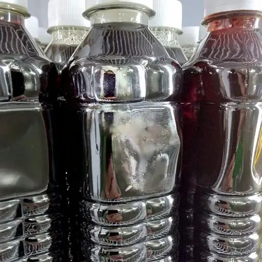 Hình ảnh Sâm nhà làm