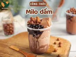 Hình ảnh Milo dầm