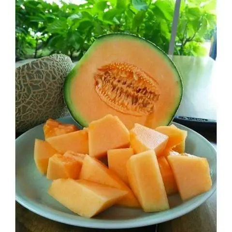 Hình ảnh Dưa lưới cắt sẵn - 400gr