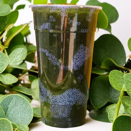 Hình ảnh Sương Sâm Hạt É