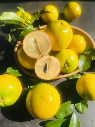 Hình ảnh Vú Sữa Hoàng Kim - 1Kg 
