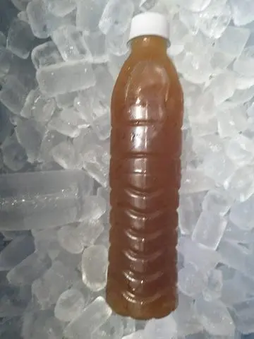 Hình ảnh Sâm lạnh