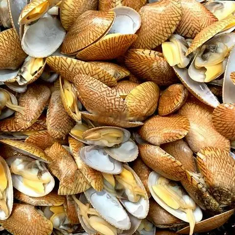 Hình ảnh Sò lụa nhí bơ tỏi
