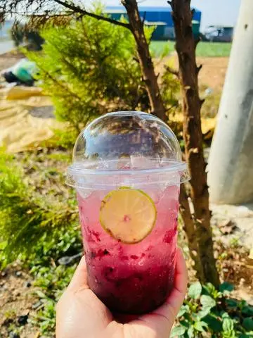 Hình ảnh Soda việt quất