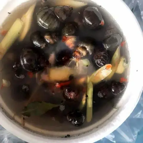Hình ảnh Ốc Đắng Hấp Thái