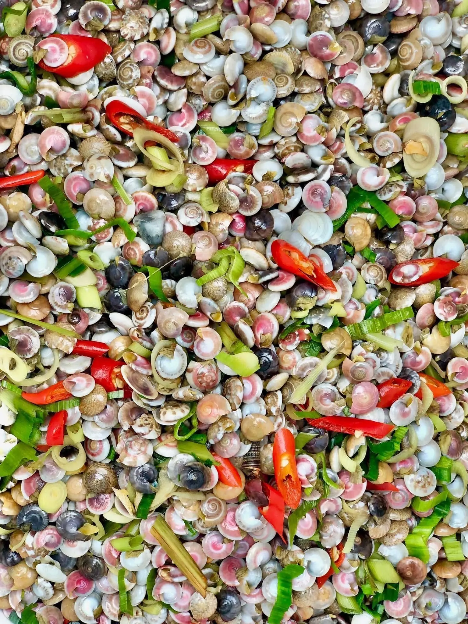 Hình ảnh ốc ruốc (hộp 500gr)
