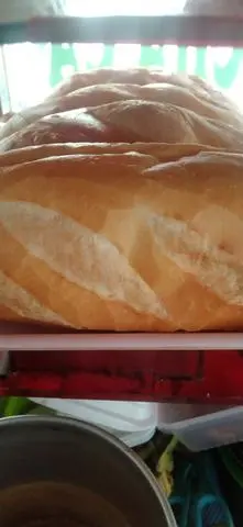 Hình ảnh banh mi không. 