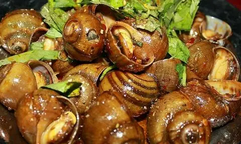 Hình ảnh ốc lác nướng tiêu