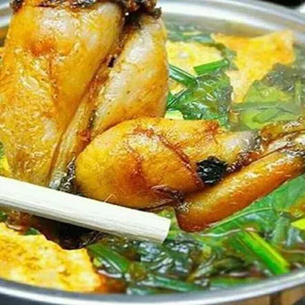 Hình ảnh Lẩu ếch măng chua