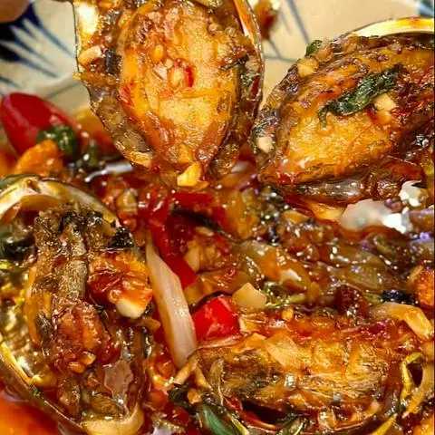 Hình ảnh BÀO NGƯ CỒ phần 3 CON SỐT TIÊU ĐEN