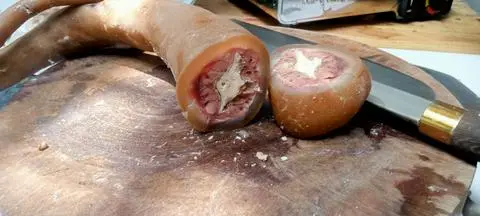 Hình ảnh Đuôi bò gọi thêm