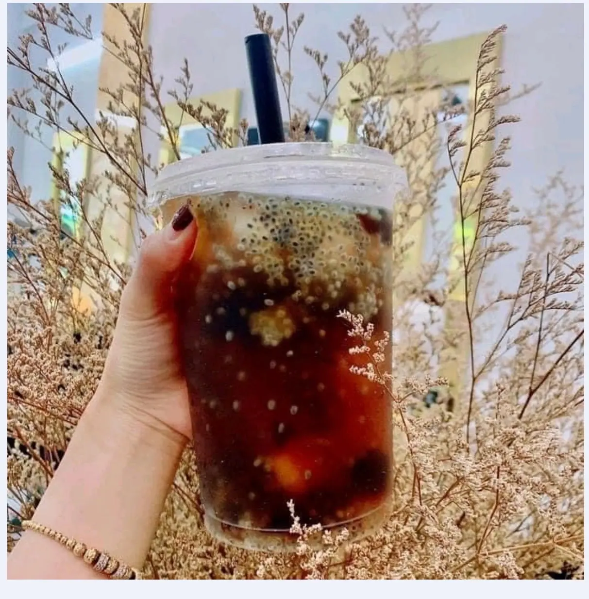 Hình ảnh Trà bí đao hạt chia 