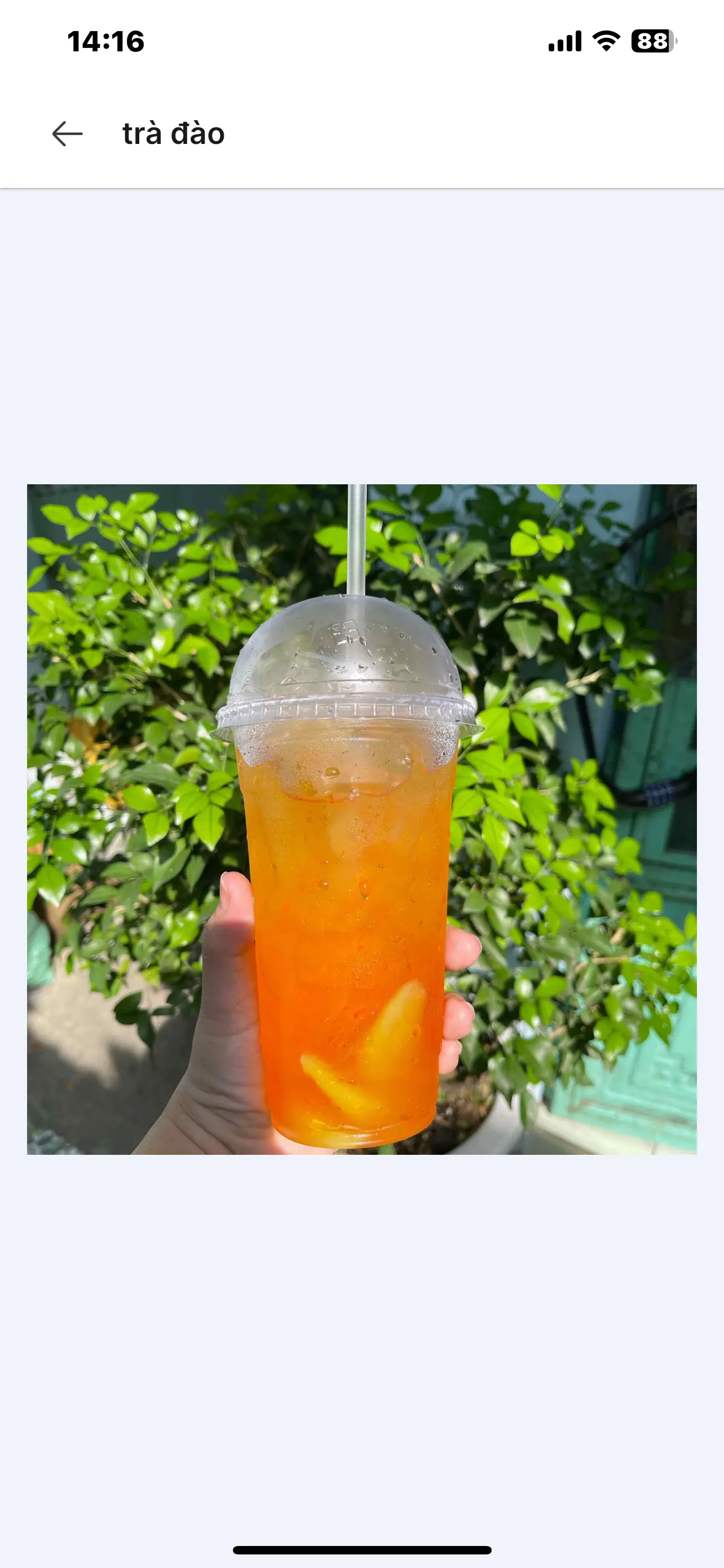 Hình ảnh trà đào