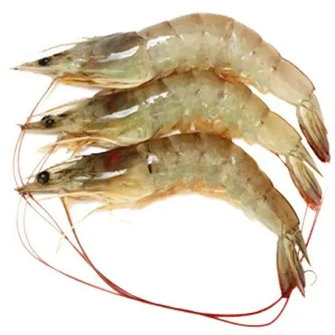 Hình ảnh Tôm