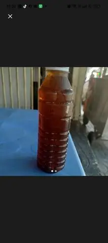 Hình ảnh Sâm lạnh