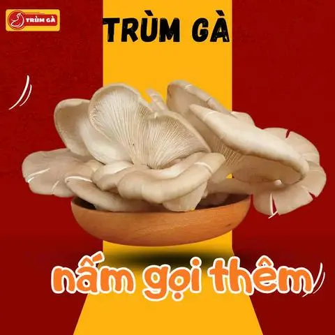 Hình ảnh nấm gọi thêm