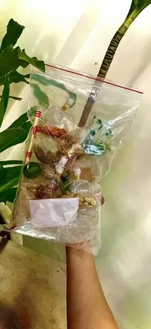 Hình ảnh Bánh tráng hành phi,mỡ hành (tự trộn)