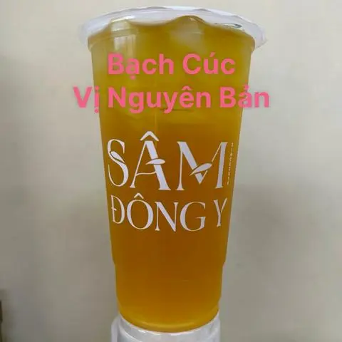 Hình ảnh Sâm Hoa Cúc - Nguyên Bản