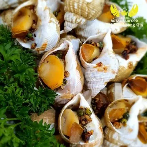 Hình ảnh ốc bulot nướng mắm ớt 