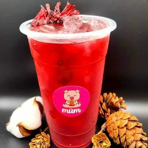 Hình ảnh Trà hoa Hibiscus Atiso đỏ size M