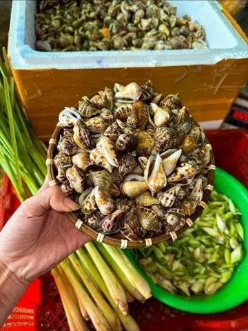 Hình ảnh Ốc Nhảy Hấp Sả 