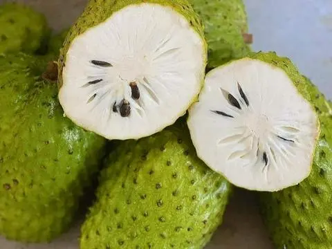 Hình ảnh Mãng Cầu Dầm
