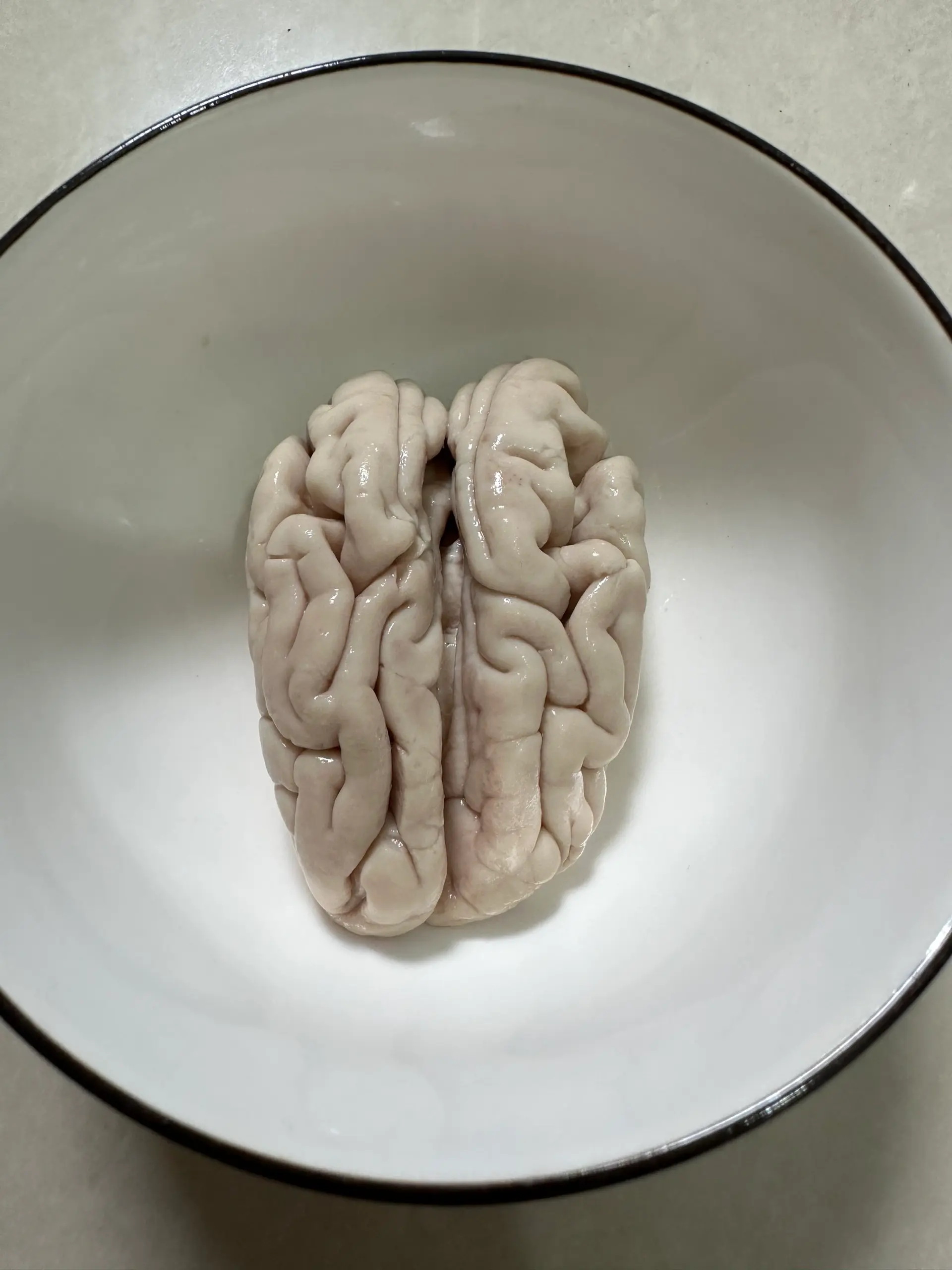 Hình ảnh 1 Bộ Óc Heo