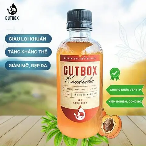 Hình ảnh Kombucha Mơ
