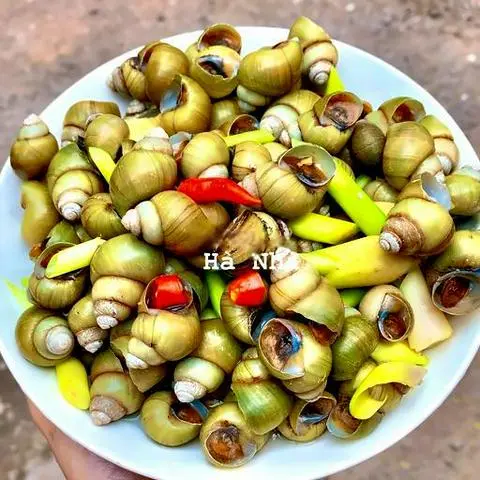 Hình ảnh Ốc gạo sả ớt mắm gừng