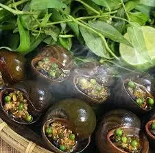 Hình ảnh Ốc bươu nướng tiêu