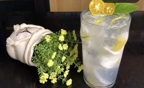 Hình ảnh Dừa tắc 