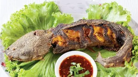 Hình ảnh Cá trê chiên mắm gừng +cơm
