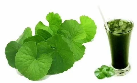 Hình ảnh Rau má nguyên chất