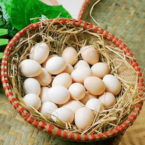 Hình ảnh Trứng gà ta thêm