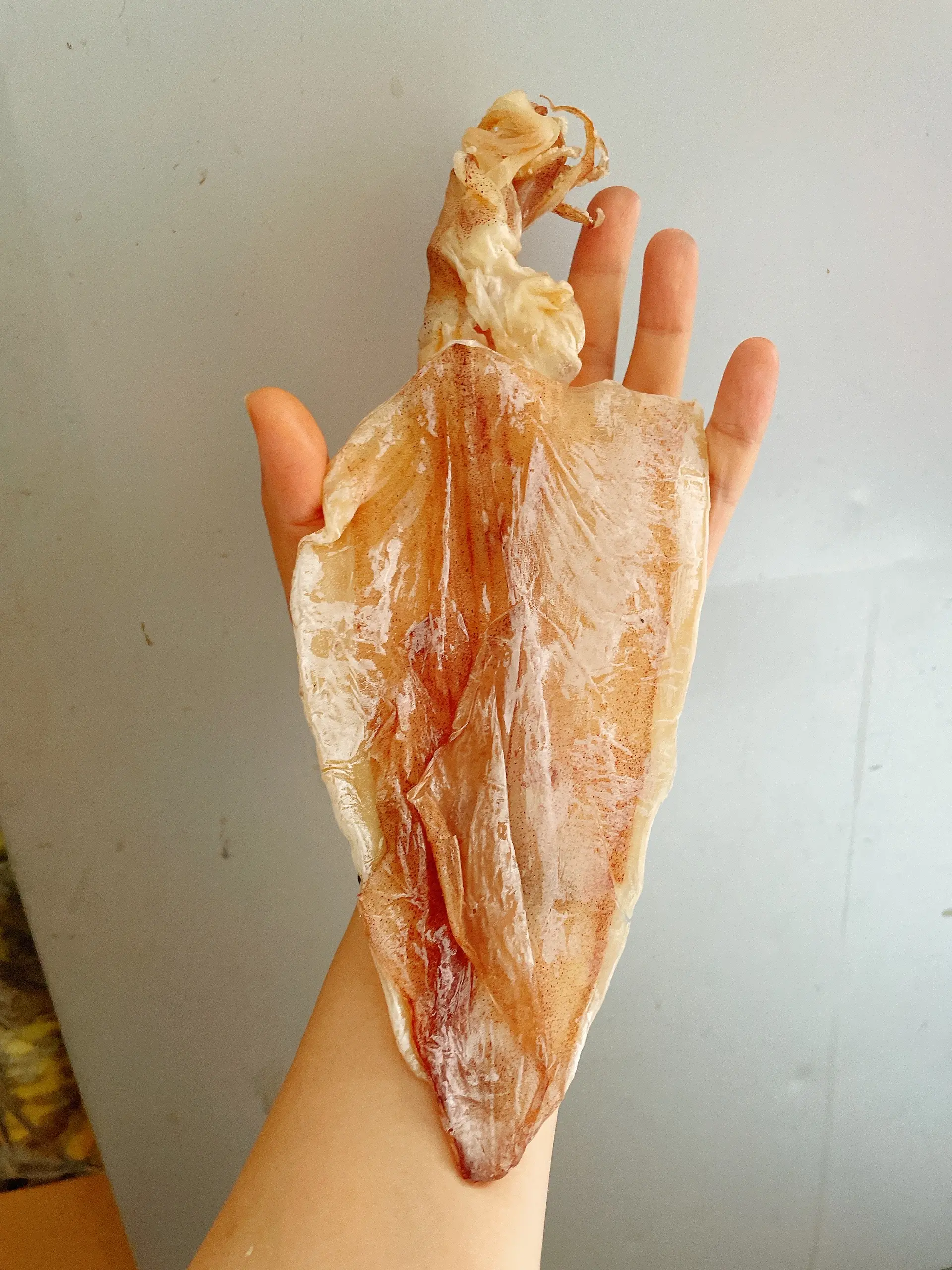 Hình ảnh Mực nướng nguyên con