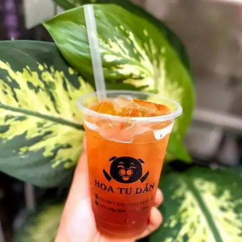 Hình ảnh Trà khoai môn