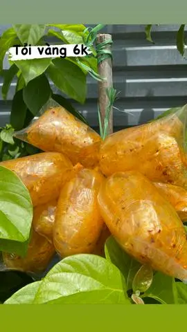Hình ảnh Bánh tráng tỏi vàng