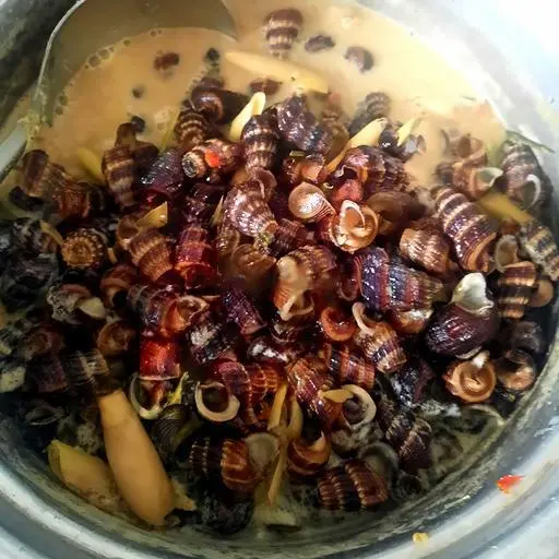 Hình ảnh Ốc len xào dừa