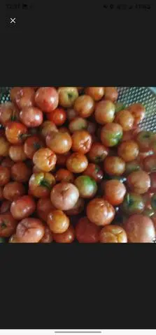 Hình ảnh Sơri 500gr