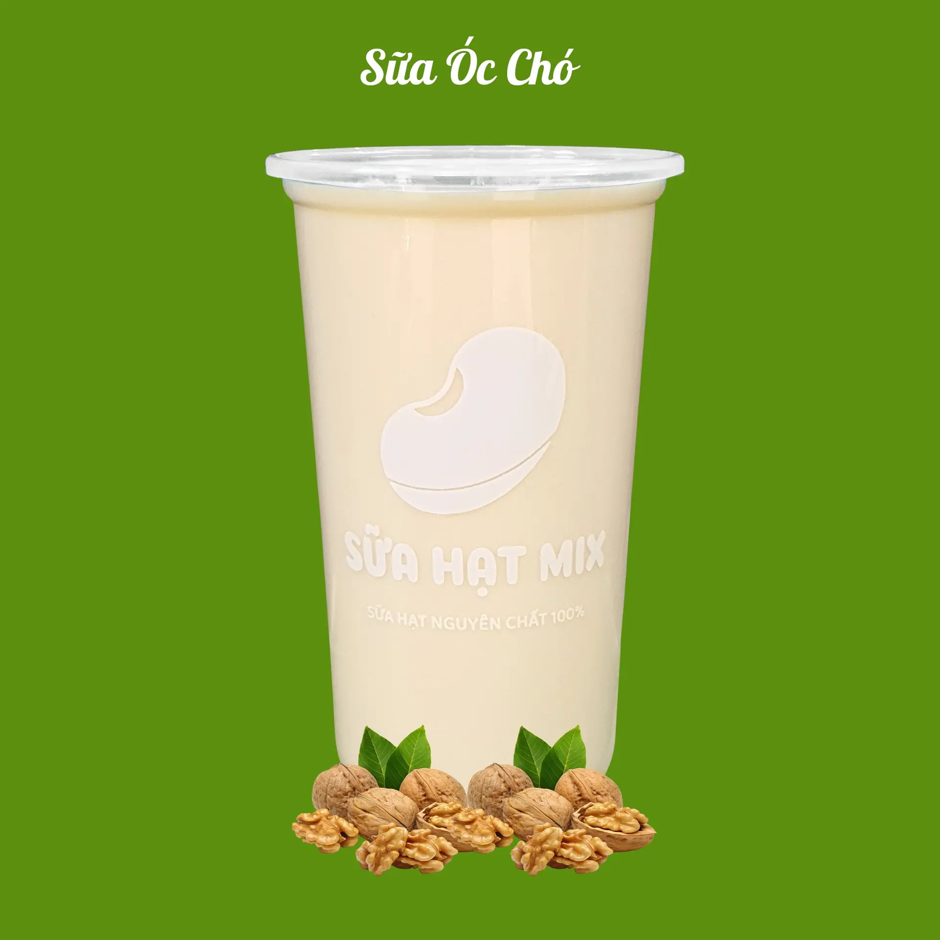 Hình ảnh Óc Chó - Size L