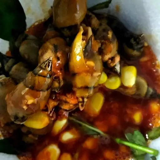 Hình ảnh Ốc Cà Na Sốt Sate