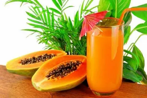 Hình ảnh Sinh tố đu đủ (size 500ml)