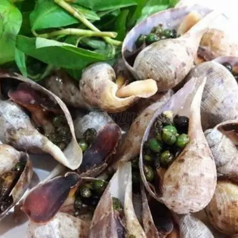 Hình ảnh Ốc muỗng nướng tiêu