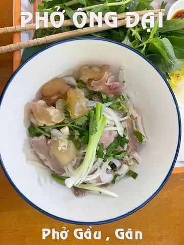 Hình ảnh phở gầu, gân